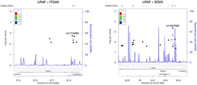 PR Interval Associated Genes, Atrial Remodeling and Rhythm Outcome of Catheter Ablation of Atrial Fibrillation—A Gene-Based Analysis of GWAS Data